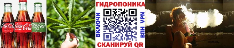 Cannafood конопля  Купить где  Всеволожск 