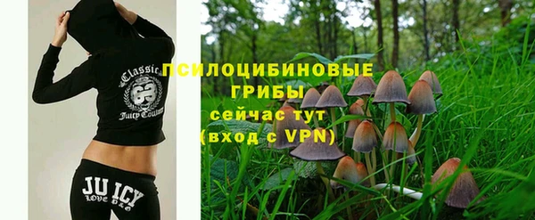 прущий лед Алексеевка