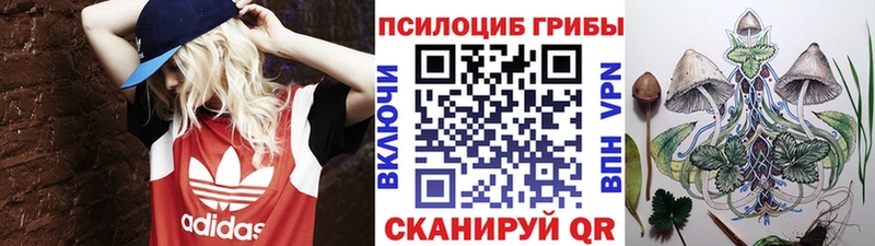 Купить закладки  Всеволожск  Галлюциногенные грибы мицелий 